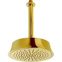 Cisal DS01328024  Shower Верхний душ D220 мм с потолочным держателем L270 мм, цвет золото