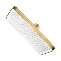 RAGLO R451 R451.52.03 Верхний душ