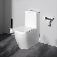 AM.PM FUNC C8F8900SC Унитаз напольный