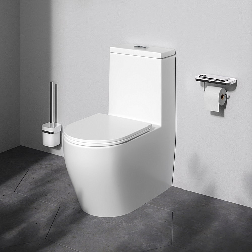 AM.PM FUNC C8F8900SC Унитаз напольный