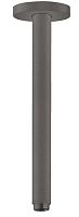 Hansgrohe  27389340 Держатель для душа