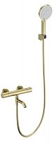 Wonzon & Woghand  WW-B3013-A1-BG Смеситель для ванны