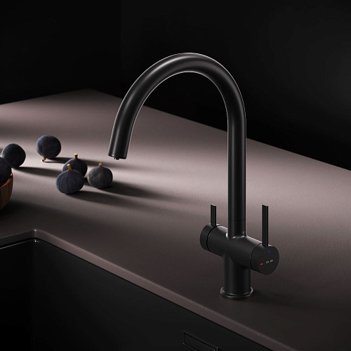 AM.PM FUNC F8F07722 Смеситель для кухни