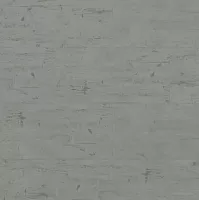 FineFloor ECOSTONE NOX-1664 Кварцвиниловая замковая плитка NOX-1664 Рейнир в Сквирел