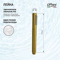 Paini Tonda 53PJ155AS Лейка ручного душа