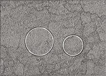 KKPol 350/PPK/421-00-03 Vitrum Grande V1 Orbis Смывная клавиша для инсталляции, Quartz, Pietra Grigia