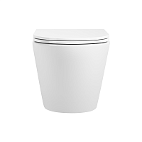 OLIVEEKA  OL-6016 Унитаз