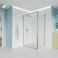 Veconi Evo E1-SP-G-140110-01-C9 Душевой уголок купить недорого в интернет-магазине Сквирел