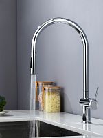 AQUAme Cucina AQM9901CR Смеситель для кухни