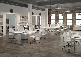 Коллекция Era