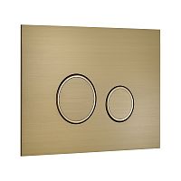 KKPOL  350/AFS/054-00-00 Смывная клавиша