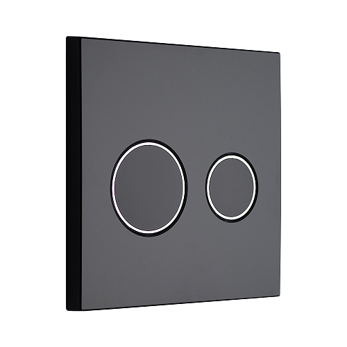 KKPOL 350/PPC/004-00-00 Клавиша смыва KKPOL 350/PPC/004-00-00 Клавиша смыва