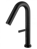 Wonzon & Woghand  WW-6068-MB Смеситель для раковины