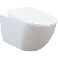 Creavit Free FE320-11CB00E-0000 Унитаз подвесной купить недорого в интернет-магазине Сквирел
