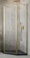 Radaway  10051000-99-01 Душевая дверь