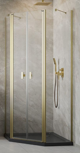 Radaway  10051000-99-01 Душевая дверь