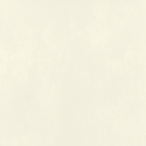 IMOLA CERAMICA MYCRO Mycro120WxRm Неглазурованный керамогранит купить недорого в интернет-магазине Сквирел