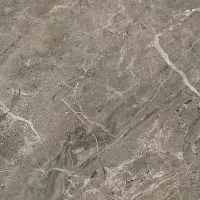 Керамогранит Gardenia Orchidea Marble Versace 240016 58.5x58.5 купить в интернет-магазине Сквирел