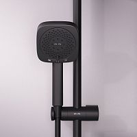 AM.PM Above F029W022 Душевые лейки