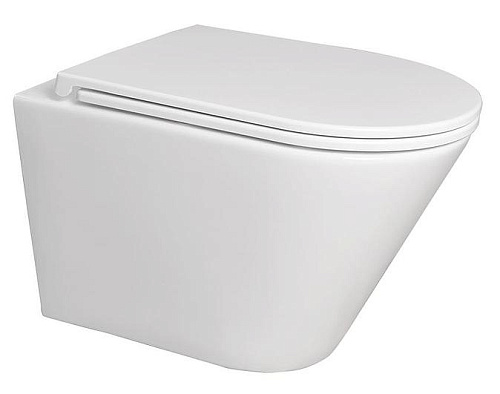 Terminus КЛАССИК 02W54x36W Унитаз подвесной