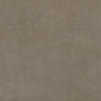 IMOLA CERAMICA RETINA RtnMouss120Rm Неглазурованный керамогранит