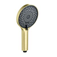 Aquatek ЛУГАНО AQ2201BG Лейка ручного душа