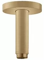 Hansgrohe Rainfinity 27389140 Кронштейн для душа, потолочный