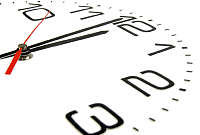 Расписание работы Сквирел в ноябре