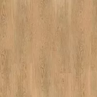 Tarkett PROGRESSIVE HOUSE JODY NL Кварцвиниловая замковая плитка в Сквирел