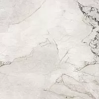 LA FAENZA AESTHETICA AeCam6120Lp Глазурованный керамогранит купить в интернет-магазине Сквирел