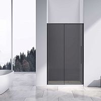 Vincea Slim-N VDS-4SN110CGB Душевая дверь