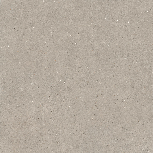 LA FAENZA SUITE STONE Argent6120 Неглазурованный керамогранит купить недорого в интернет-магазине Сквирел LA FAENZA SUITE STONE Argent6120 Неглазурованный керамогранит купить недорого в интернет-магазине Сквирел