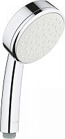 Grohe Tempesta 26082002 (exp) Лейка для душа