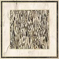 Керамогранит Imola The Room GHEPARD6 120LP 120x120 (Ghepard6120lp) купить в интернет-магазине Сквирел