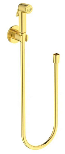 Ideal Standard IDEALSPRAY B0595A2 Гигиенический душ Ideal Standard IDEALSPRAY B0595A2 Гигиенический душ