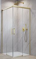 Radaway  10370110-99-01L Душевая дверь