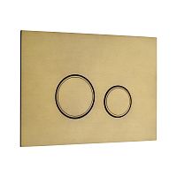 KKPOL  350/AFS/052-00-00 Смывная клавиша