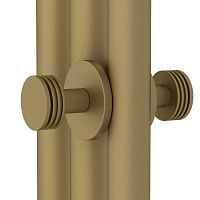 Сунержа 032-2010-0004 Каньон Вешалка двойная для ДР Хорда, матовое золото