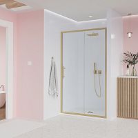 Veconi Evo E1-G-150-01-C9 Душевая дверь купить недорого в интернет-магазине Сквирел
