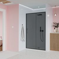 Veconi Evo E1-GR-140-12-C9 Душевая дверь купить недорого в интернет-магазине Сквирел