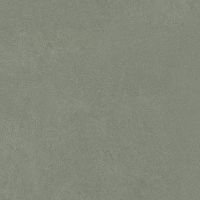 IMOLA CERAMICA RETINA Rtn6Salvi60Rm Неглазурованный керамогранит