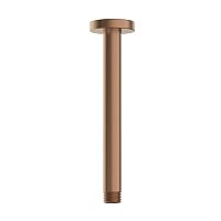 WasserKRAFT Излив для душа A068BRG Излив