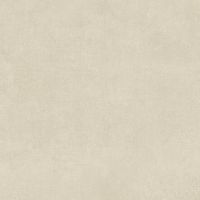 APE RAW APE RawToastedSmoothRect60X60 Глазурованный керамогранит