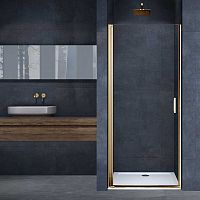 Vincea Alpha VDP-3AL600CLG Душевая дверь