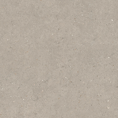 LA FAENZA SUITE STONE Argent690 Неглазурованный керамогранит купить недорого в интернет-магазине Сквирел LA FAENZA SUITE STONE Argent690 Неглазурованный керамогранит купить недорого в интернет-магазине Сквирел