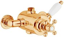 Cezares Elite ELITE-D-T-03/24-Bi смеситель для душа