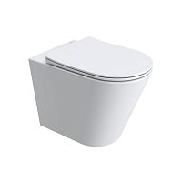 BelBagno  BB1003CB-TOR/SC Унитаз приставной