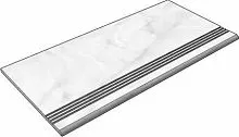 Asia Pacific Impex Glossy GBOnyxHermanSilverx36_4 30x60 Ступень купить в интернет-магазине Сквирел