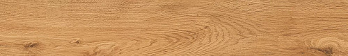 Bottega Feelwood B71008_FlwdCognacLapOil 20x120 Глазурованный керамогранит купить в интернет-магазине Сквирел