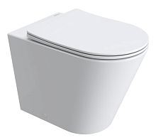 BelBagno  BB1003CB-TOR/SC Унитаз приставной